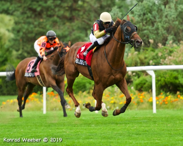 In Photos Winning Puss N Boots Cup Connections Take A Dip